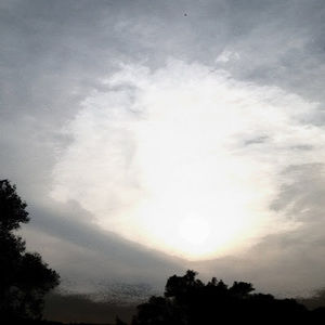 Meet your Posher, Zhur